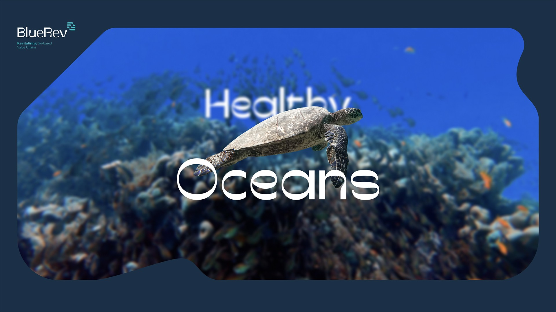 BlueRev: website
