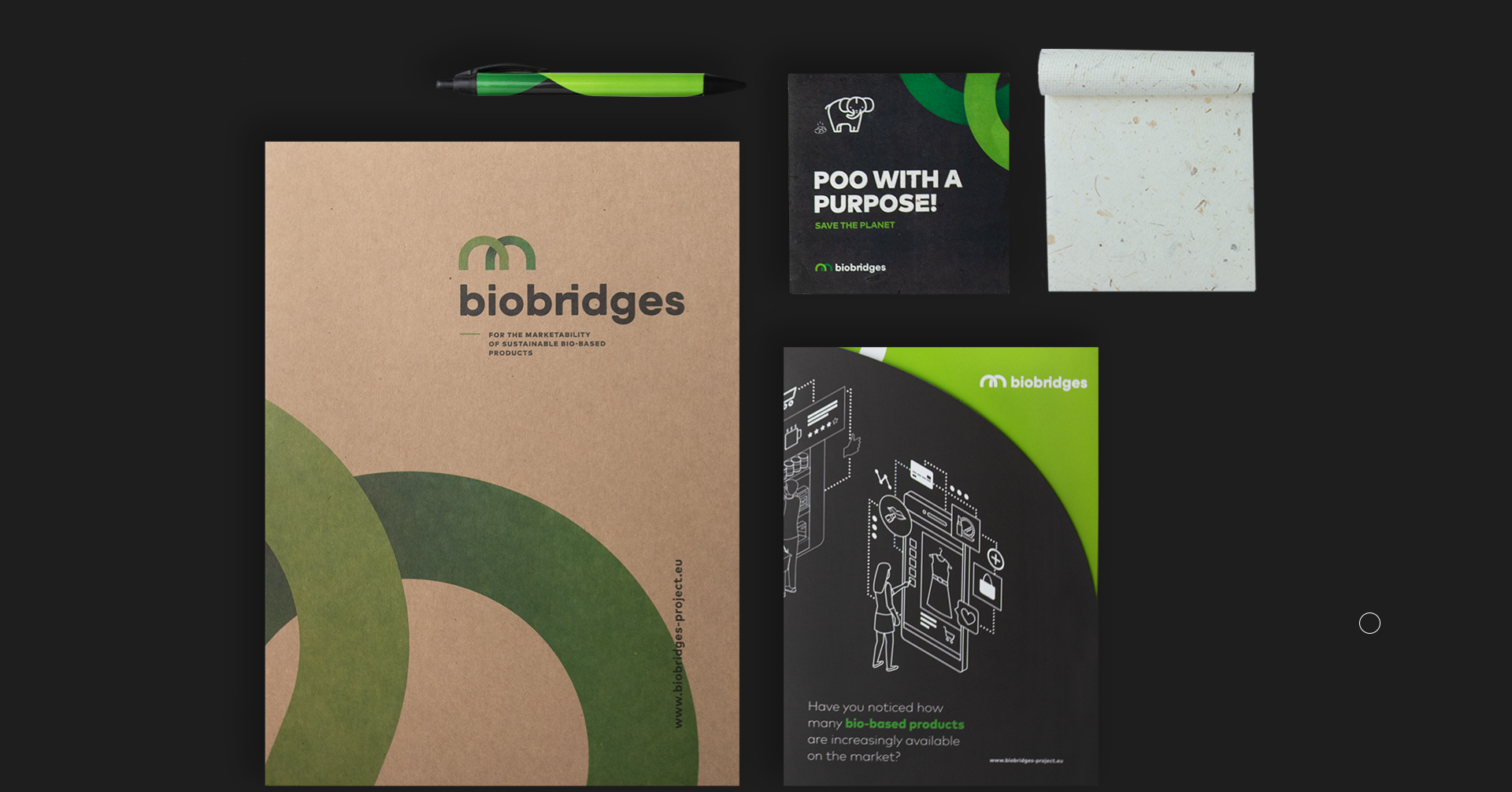 Biobridges - Detalhe 5 - LOBA.cx