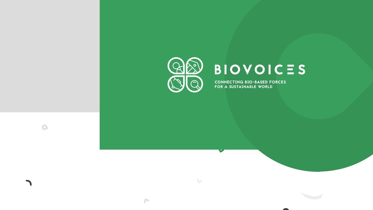 Biovoices: Branding e design da identidade