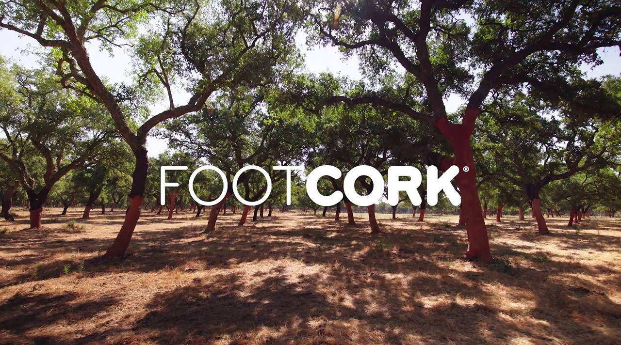 Footcork - Amorim