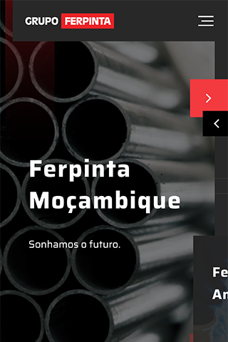 Grupo Ferpinta - Mobile - LOBA.cx