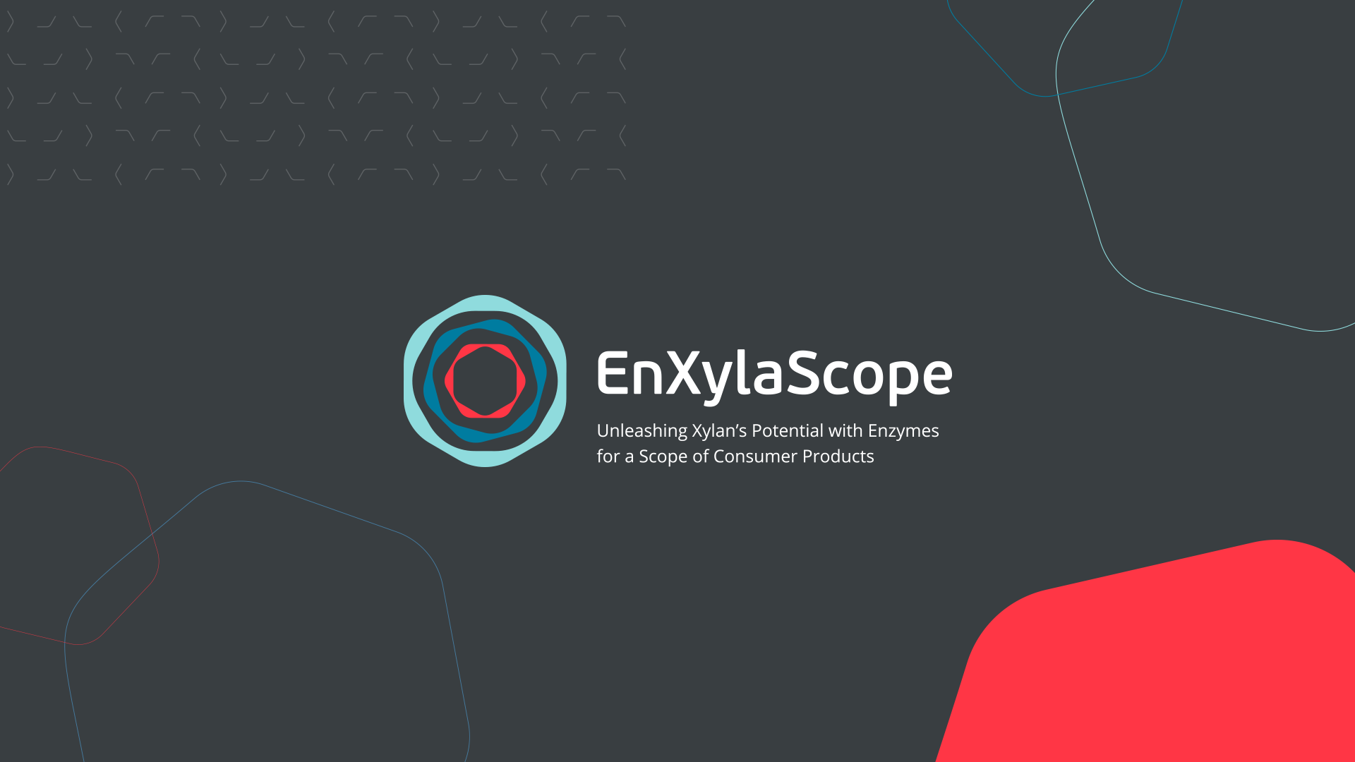 Identidade Visual - EnXylaScope