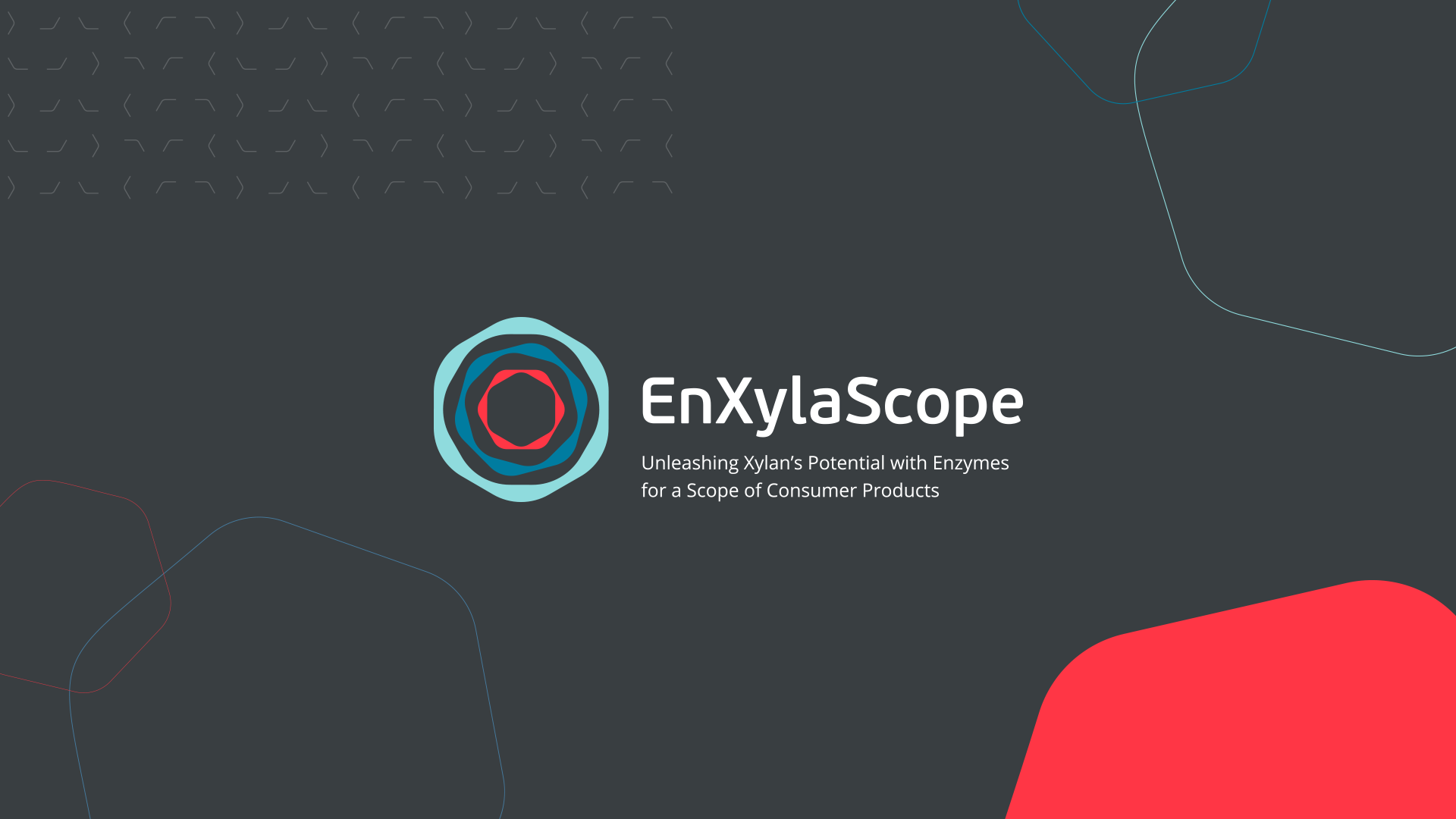 EnXylaScope: Identidade Visual
