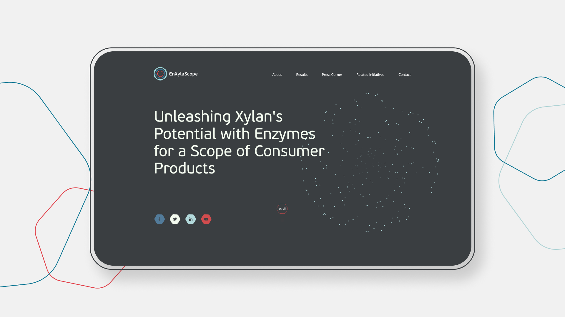 EnXylaScope: Website