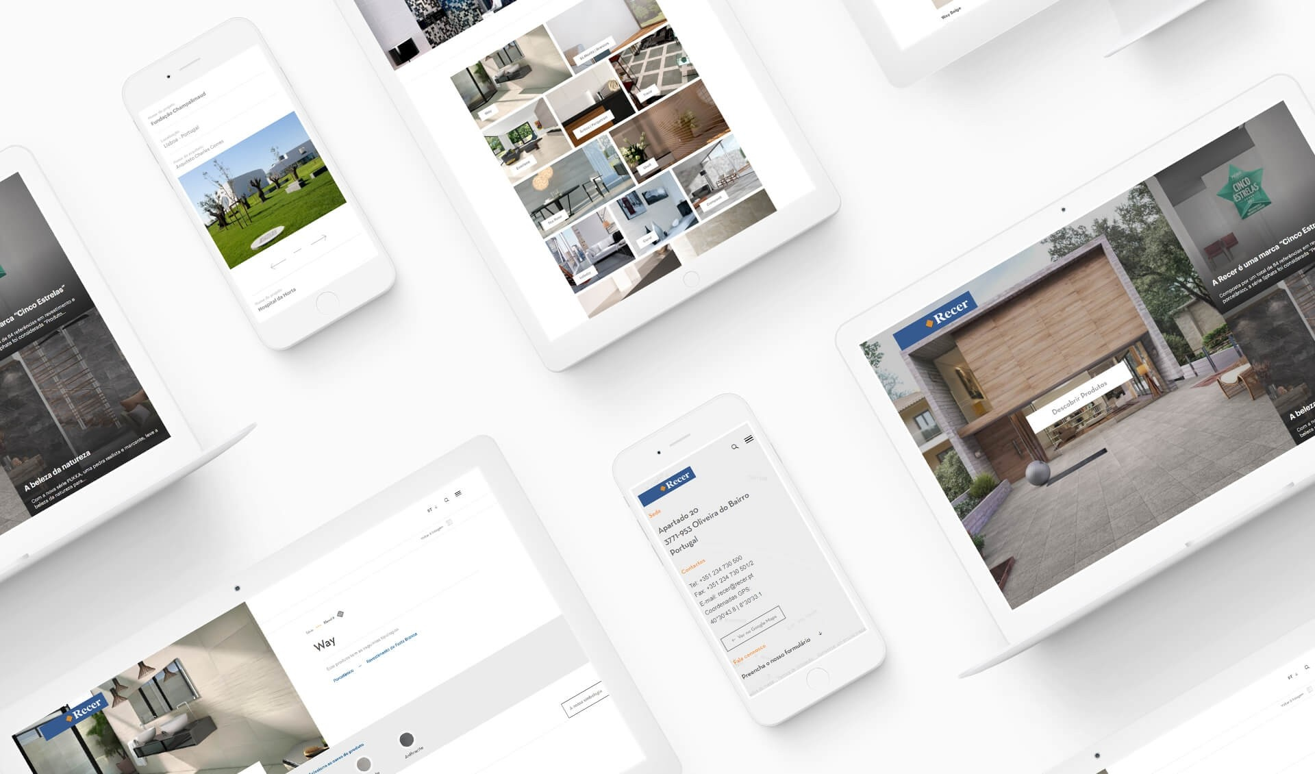 RECER: Website Institucional