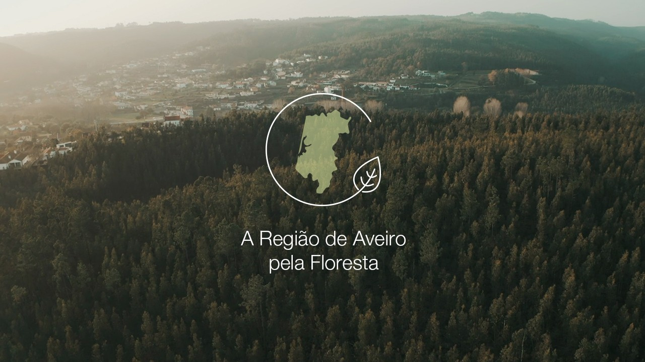 Valorização Florestal - CIRA