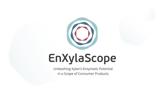 EnXylaScope